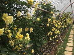 -笑来喜馄饨小笼工坊店(湖滨街店)