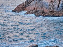 -广东惠东海龟国家级自然保护区