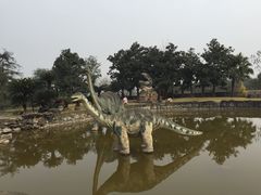 -自贡恐龙博物馆