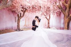 -巴黎新娘婚纱摄影·婚礼策划(嘉定总店)