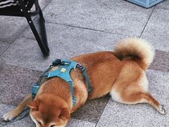 -民盈·国贸城