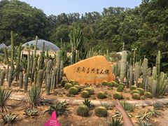 -深圳仙湖植物园-停车场