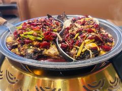 -锦尚阁烤鱼(望京新荟城店)