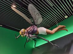 -杭州工艺美术博物馆
