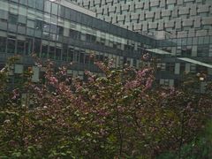 -南京鼓楼医院(鼓楼本部)