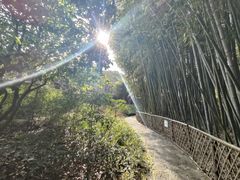 -汇龙潭