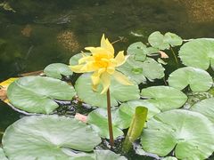 -西南交通大学-詹天佑体育馆