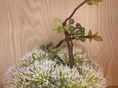 -马家斑.鲜鱼火锅(松湖万科店)