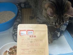-美美宠物诊疗中心·异宠·骨科(滨江东信分院)