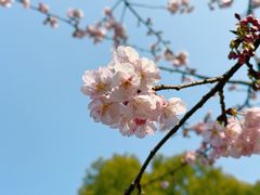 -静安雕塑公园