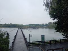 -溱湖国家湿地公园