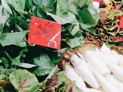 -杨厨的田园饭店(长城路店)