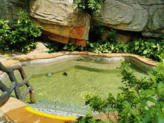 -海口观澜湖火山温泉谷