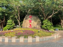 -野狸岛