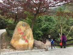 -清溪森林公园