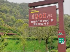 -桃花岭景区
