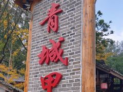 -青城甲(青城山店)