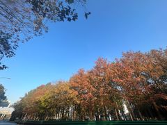 -宝界山林公园