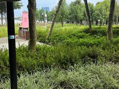 -顺峰山公园