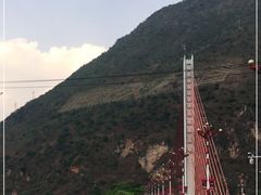 -跃进桥火烧鸡(怒江西岸店)