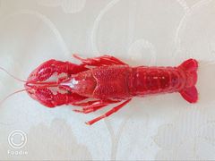 -小李子油焖大虾(天下城旗舰店)