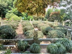 -十八棵（老龙井）御茶园(老龙井店)