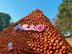 -上海月湖雕塑公园