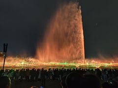 -九龙湖公园