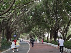 -南宁南湖公园