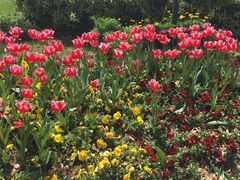 -万达广场(南京江宁店)