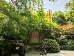 -杭州黄龙洞