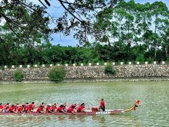 -大湾区中央湿地公园