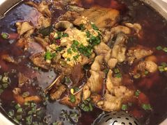 -冯鱼头火锅(青蓝山美食一条街店)