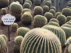 -南山植物园