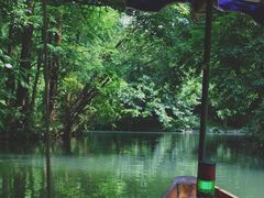 -西湖外事游船(花港观鱼码头)