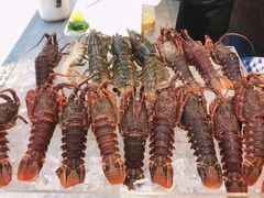 -半岛听涛蒸汽海鲜自助(K11店)