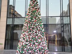 -羿庭(外滩华尔道夫酒店)