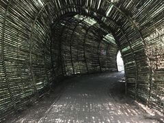 -北海金海湾红树林生态旅游区