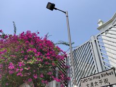 -大澳