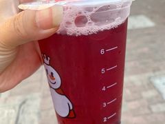 -蜜雪冰城(托乐嘉店)