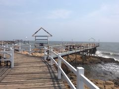 -北戴河碧螺塔海上酒吧公园