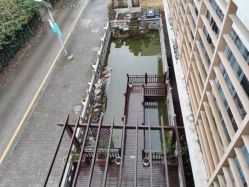 点击看大图 -安琪朵朵独栋花园月子中心