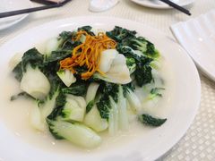 -香港富临皇宫(五月花商业广场店)