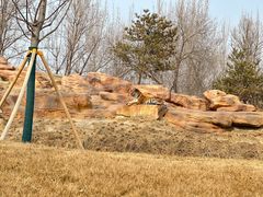 -北京野生动物园