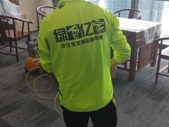 -绿色亿家除甲醛机构