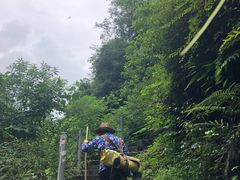 -龙窝子