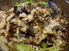 藏龙鱼-万和源炝锅城·活鱼现炝(文艺北路店)