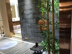 -菌子鲜汤野生菌锅