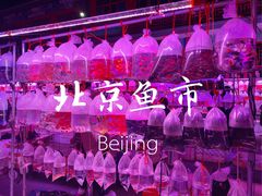 -华声天桥民俗文化园