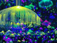 -杭州西湖星空魔幻城(星空艺术馆品牌旗舰店)